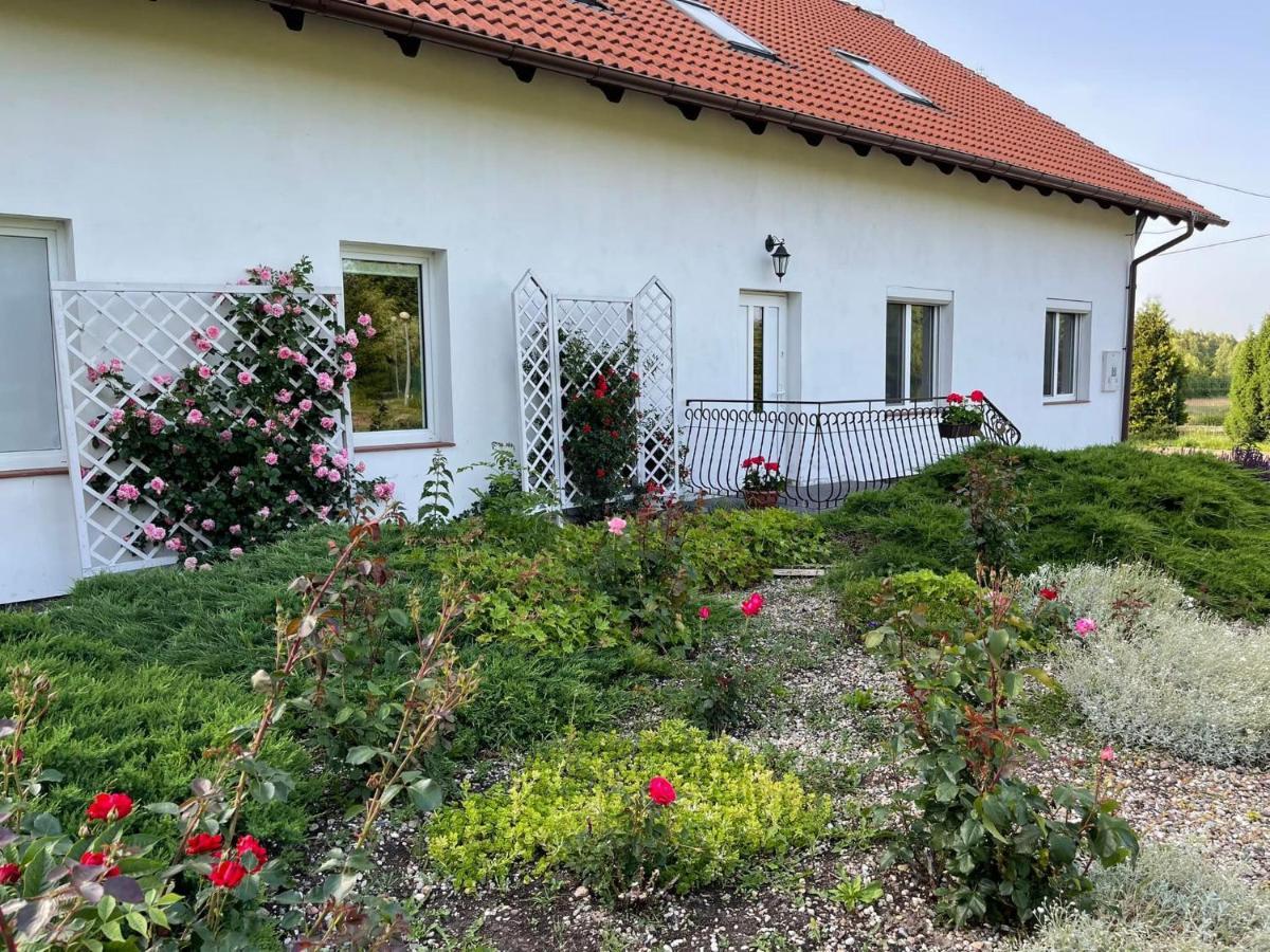 Gospodarstwo Agroturystyczne Zasadkowe Bory Rogowo  Buitenkant foto