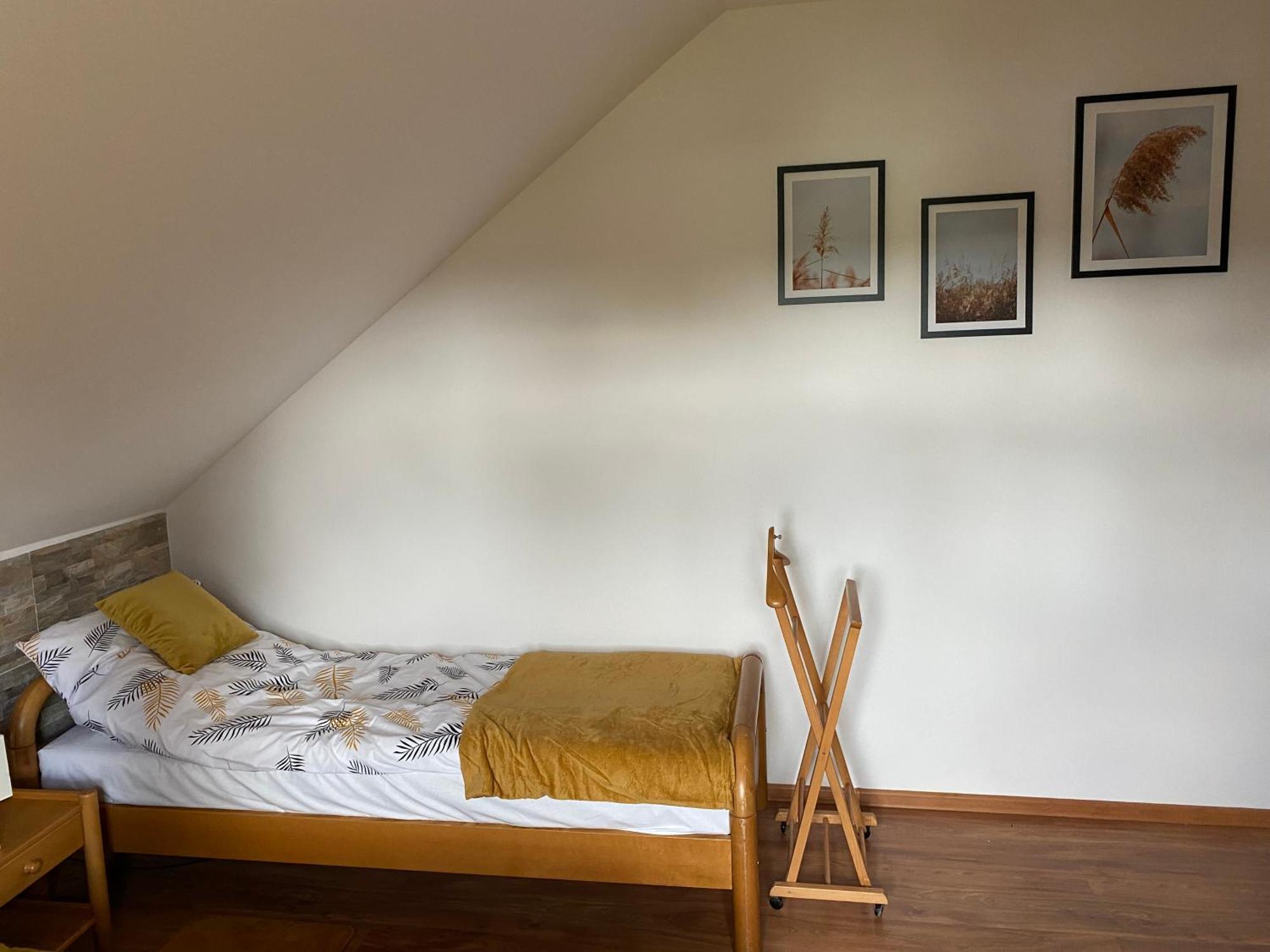 Gospodarstwo Agroturystyczne Zasadkowe Bory Rogowo  Buitenkant foto